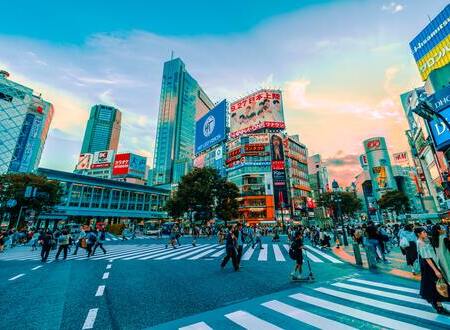 海外進出･日本進出サポート